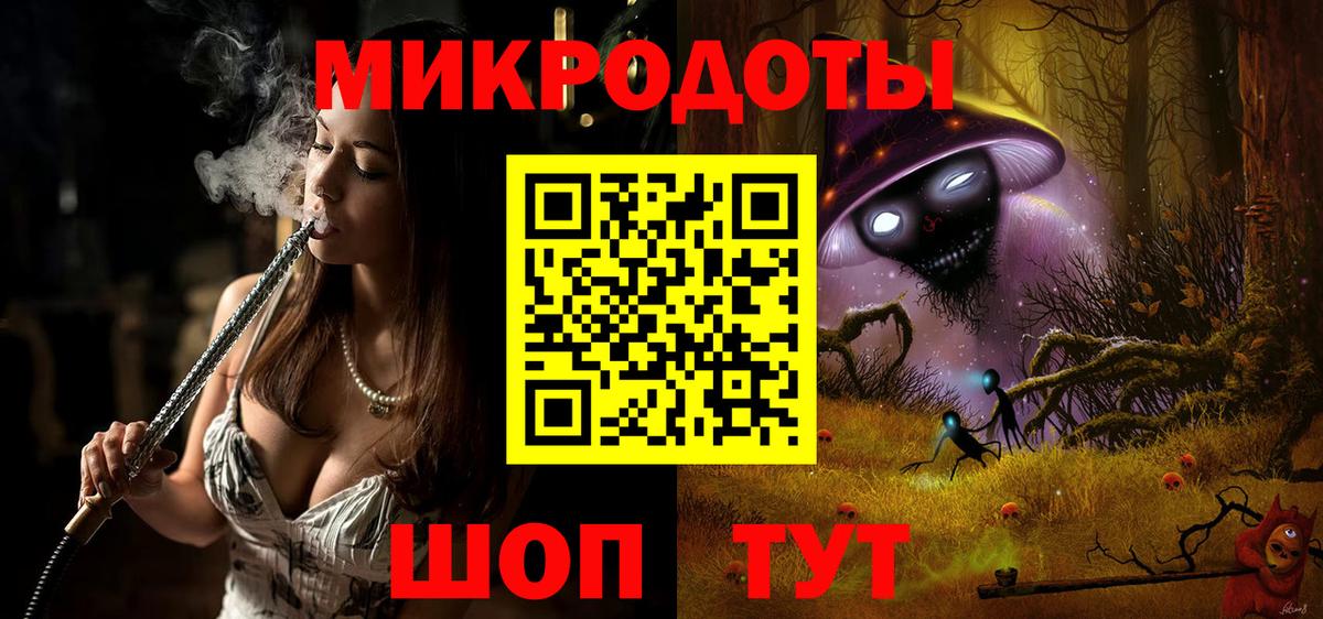 Галлюциногенные грибы Psilocybe Нальчик